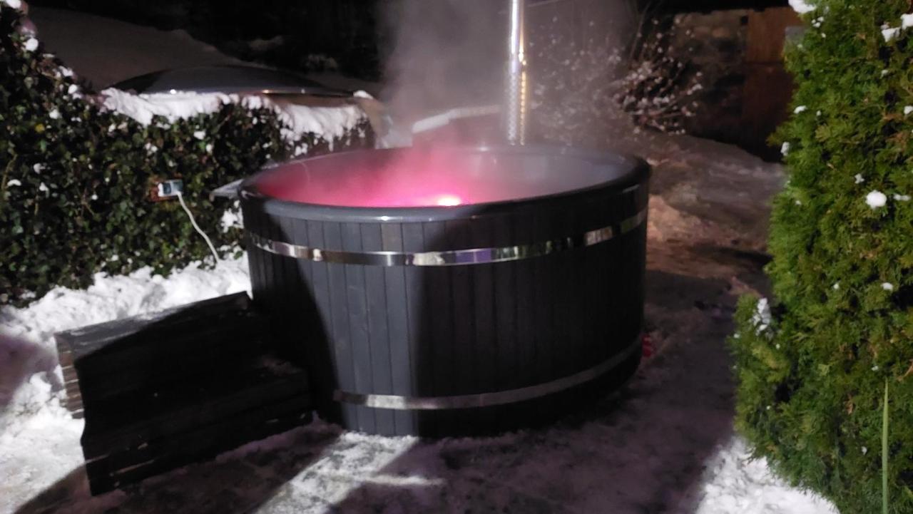 Zielony Zakatek Sosnowka المظهر الخارجي الصورة