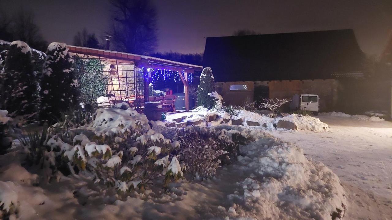 Zielony Zakatek Sosnowka المظهر الخارجي الصورة